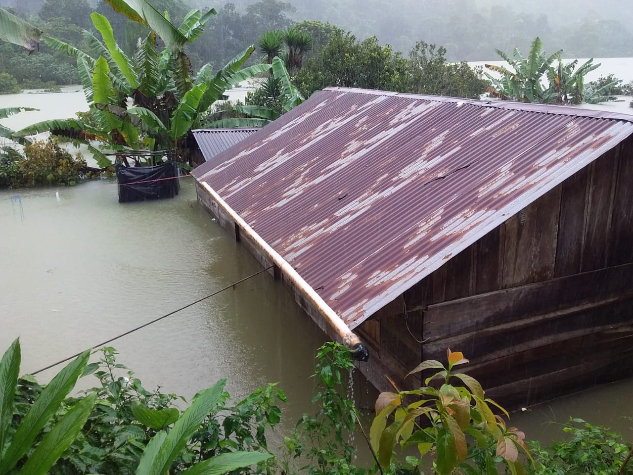 La solidaridad no está en cuarentena