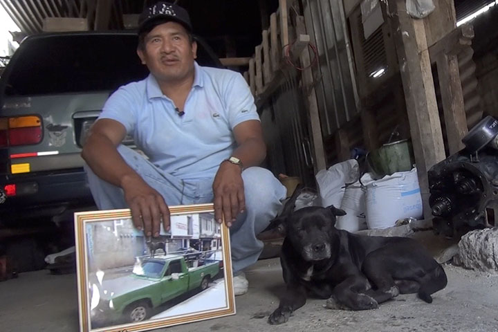 historias caninas